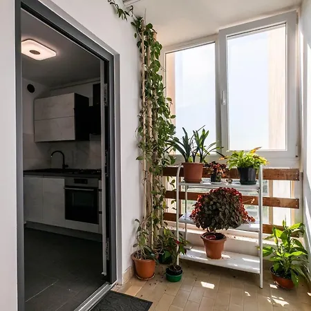 Apartment Minka Pula